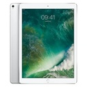 iPad Pro 12.9" (2017)